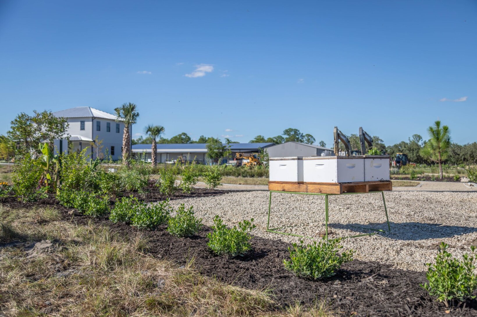Hive box in field at Florida extraction facility.
