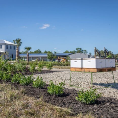 Sweet Harvest Foods Accelerates Production and Innovation with New Honey Extraction Facility