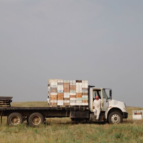 Sweet Harvest Foods Strengthens Scientific and Operational Leadership with Two Key Appointments