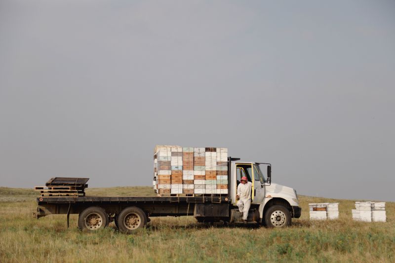 Hives on Truck