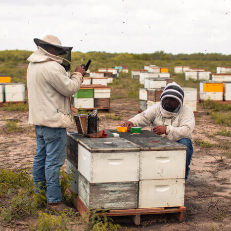 What It Means to Be a Beekeeper: Making a Difference in the World
