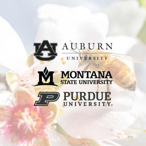 Recipients of the Inaugural Nate’s Hives Research Grant Program