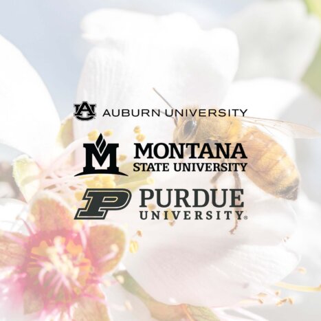 Recipients of the Inaugural Nate’s Hives Research Grant Program