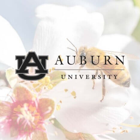 Improving Varroa Control at the Auburn University Bee Center