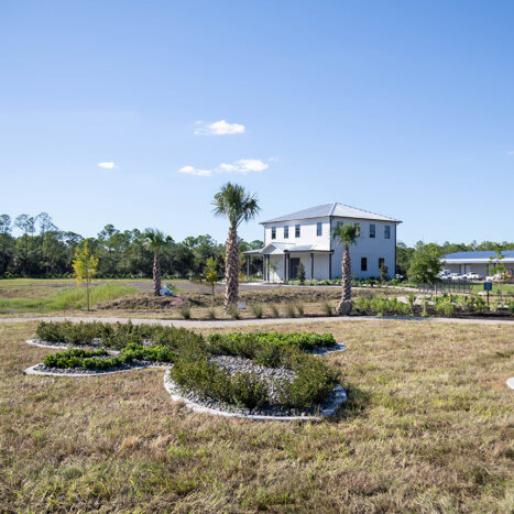 Bees throughout History in Religion and Art