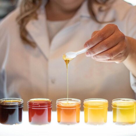 Why Honey Comes in Every Shade of Gold