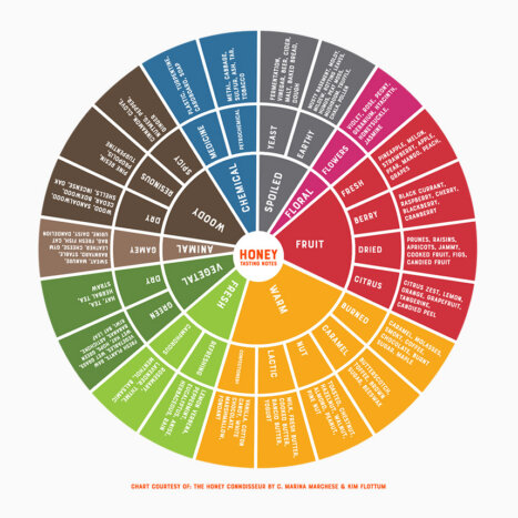 Decoding Honey with Flavor Wheels and Color Scales