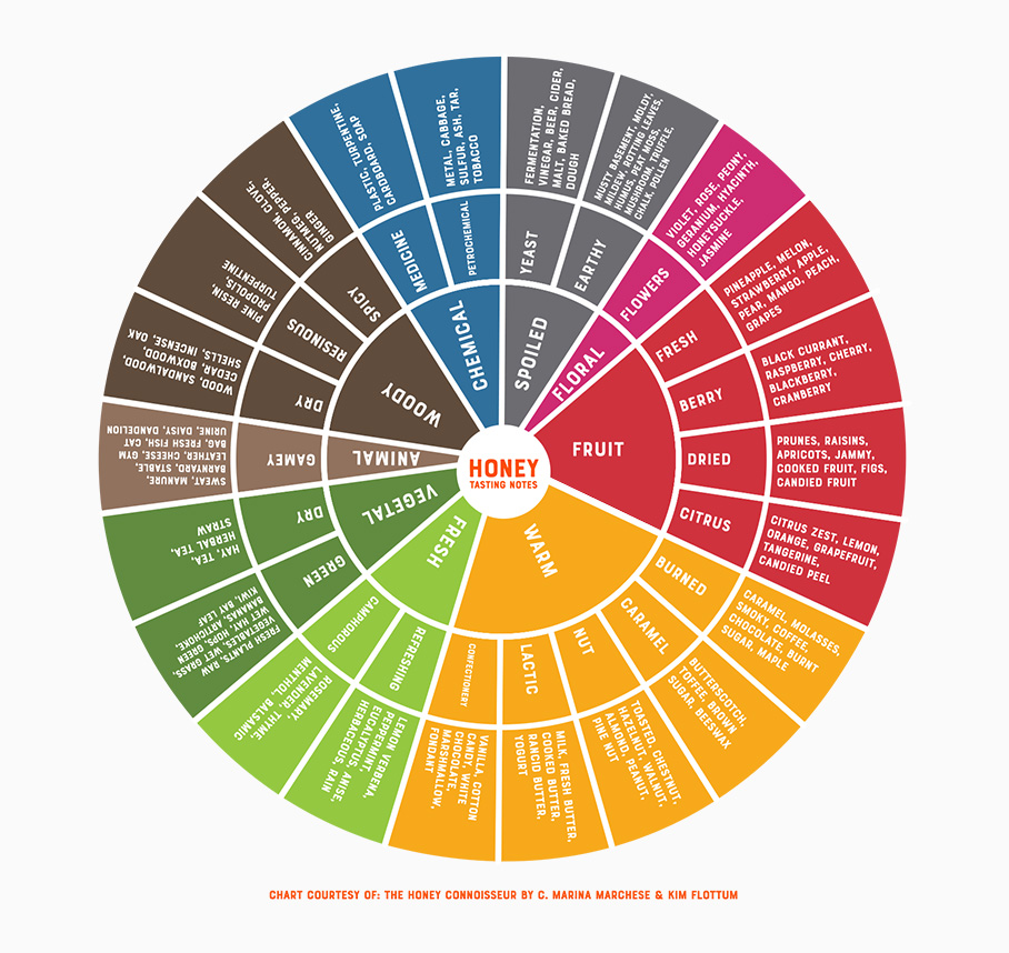 Honey Tasting Wheel showing flavor and aroma categories.