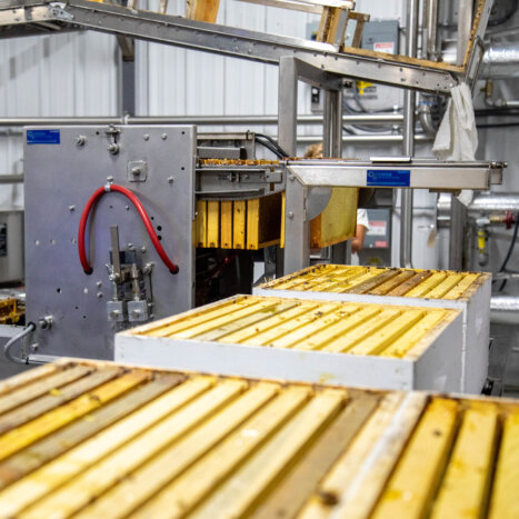 The Sweet Science of Honey Extraction