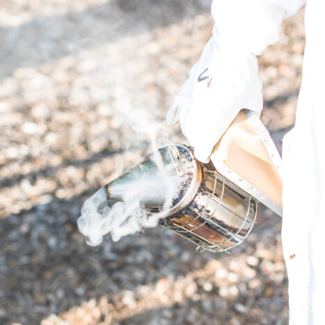 How We Use Smoke to Calm Worker Bees